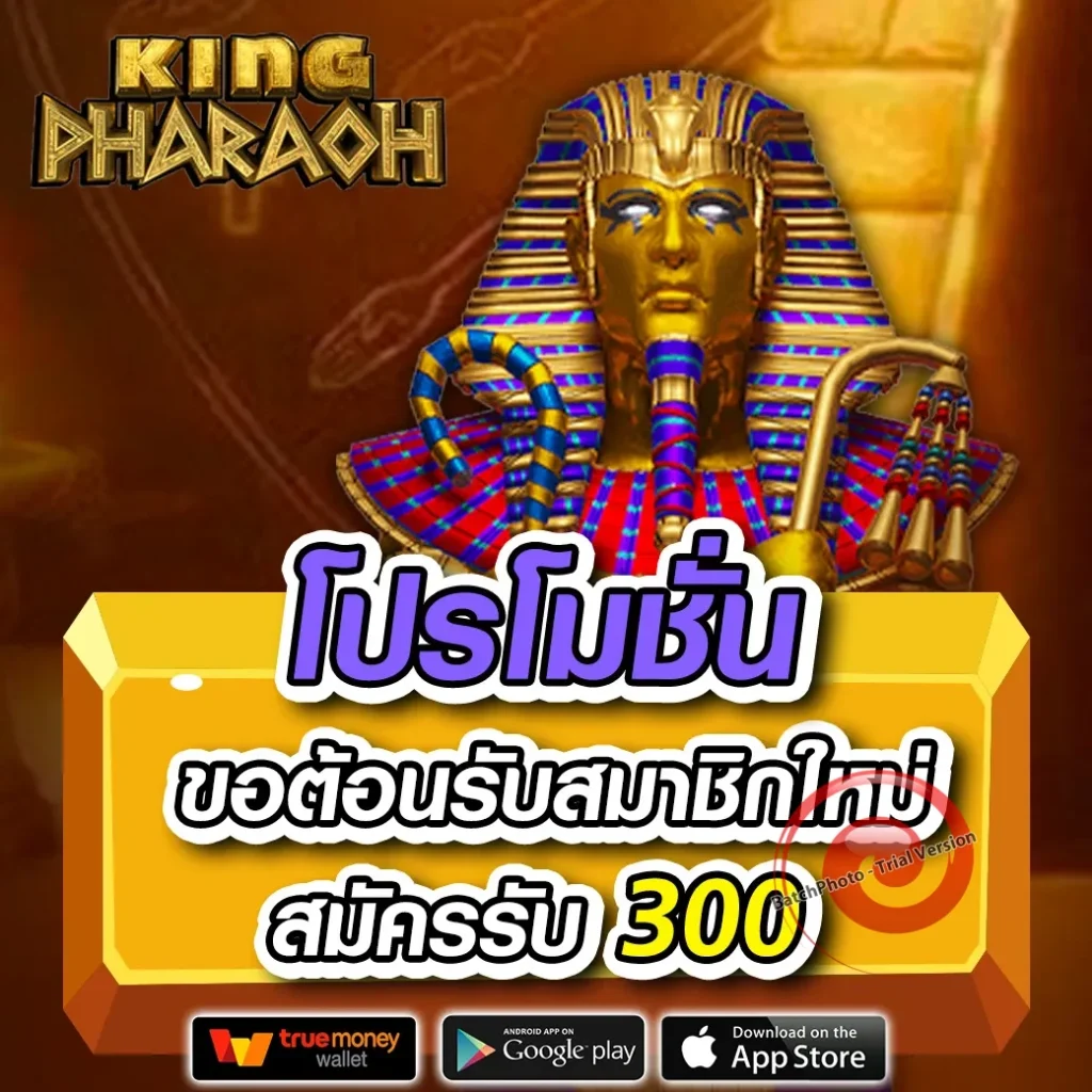 finni vip สมัครฟรี